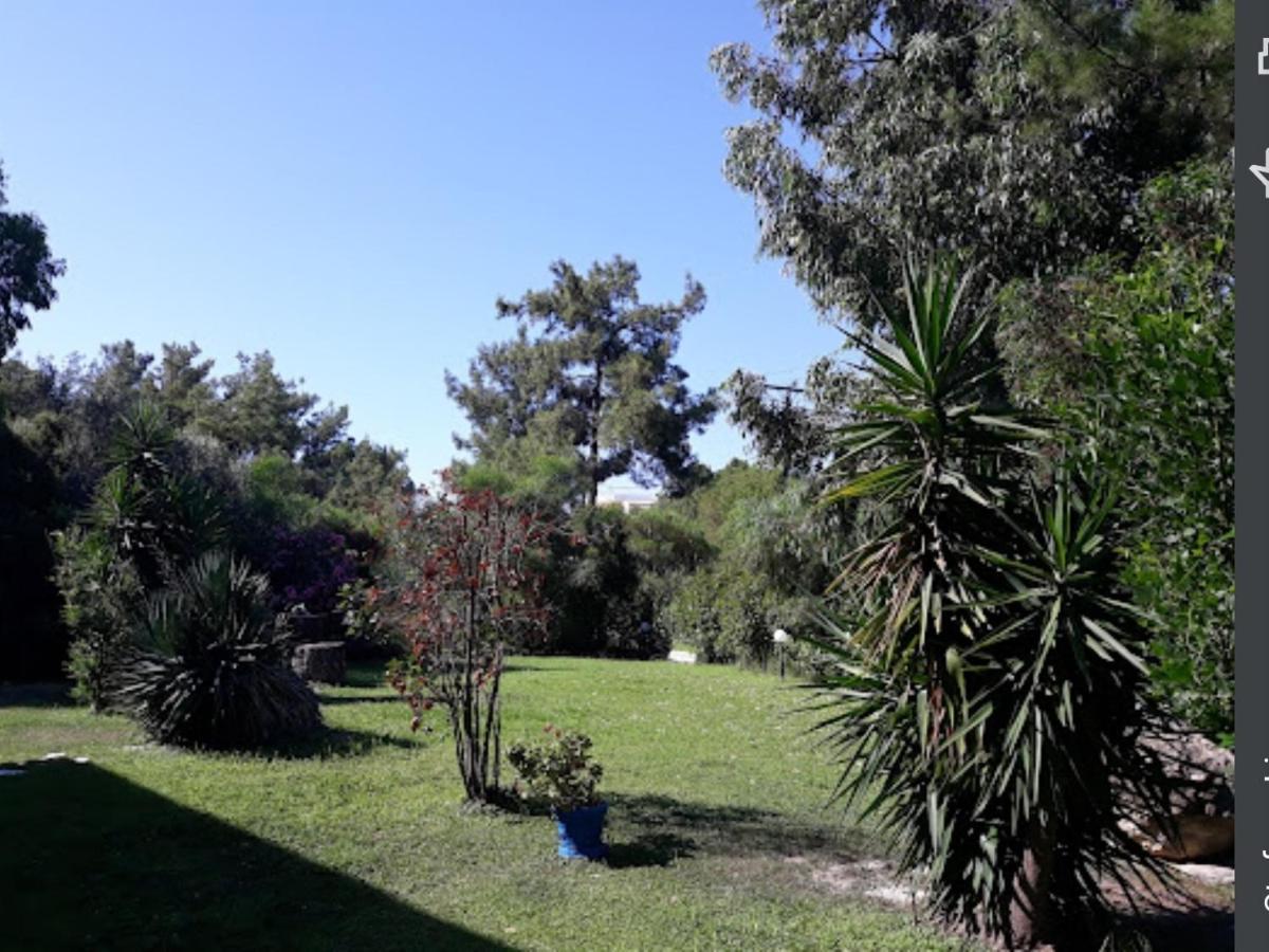 Trees Art Hotel Ιαλυσός Ρόδος Εξωτερικό φωτογραφία