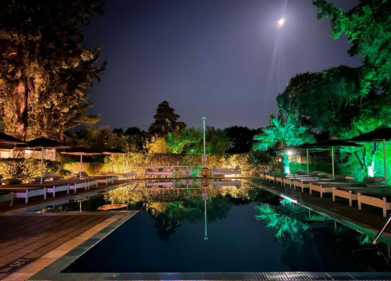 Trees Art Hotel Ιαλυσός Ρόδος Εξωτερικό φωτογραφία