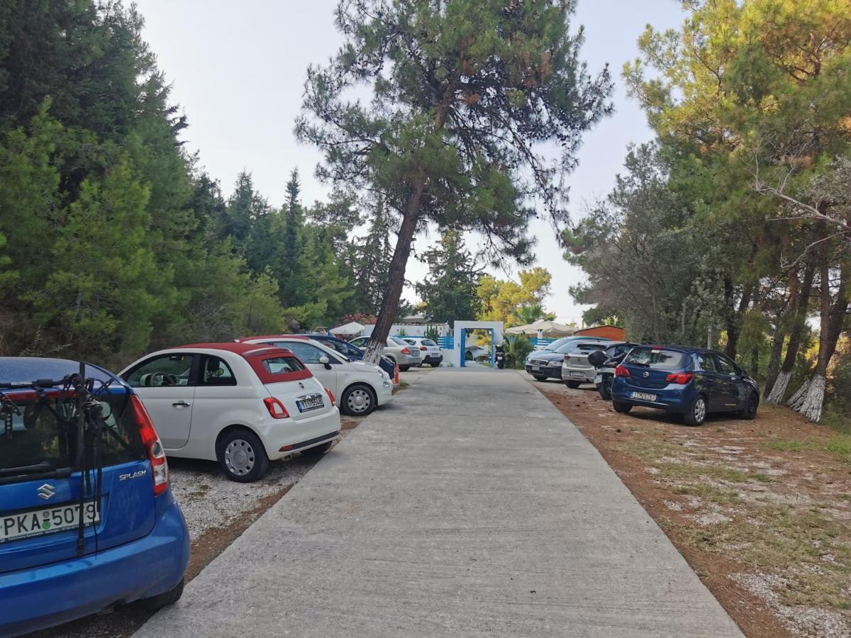 Trees Art Hotel Ιαλυσός Ρόδος Εξωτερικό φωτογραφία